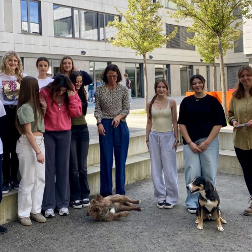 Die Schüler und Schülerinnen des P-Seminars „Schulhund mit Außenwirkung“, StDin J. Baumann, H. Dichtl mit den Schulhunden Zimt und Chaplin
