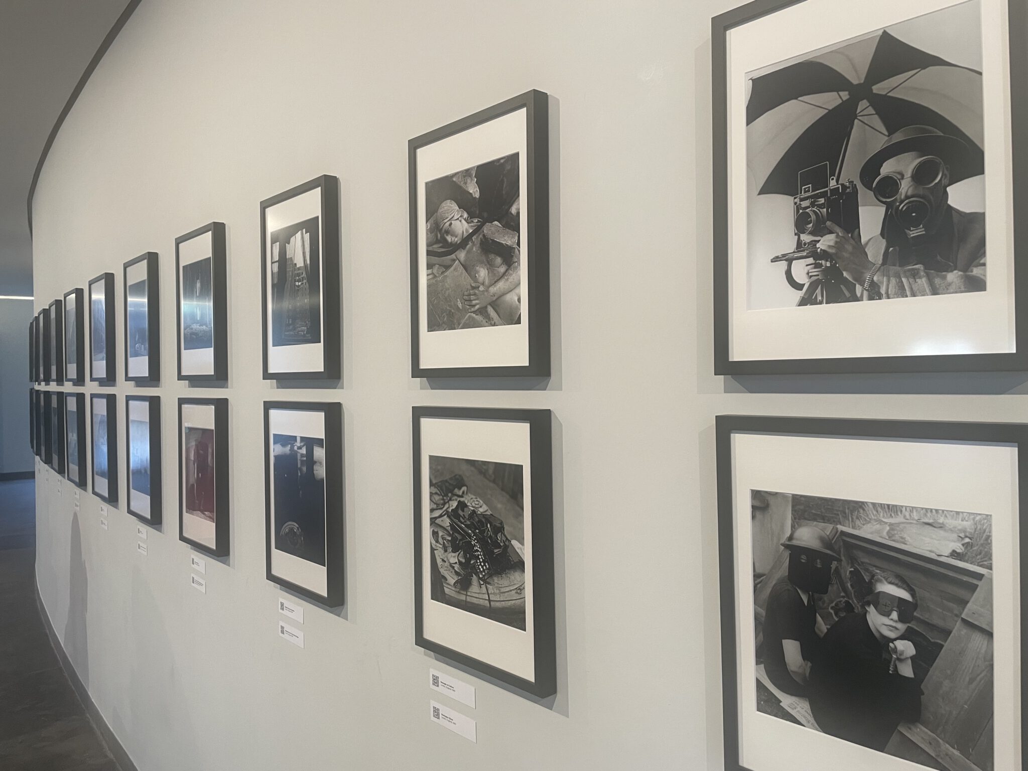 ROKO Deggendorf - Robert-Koch-Gymnasium